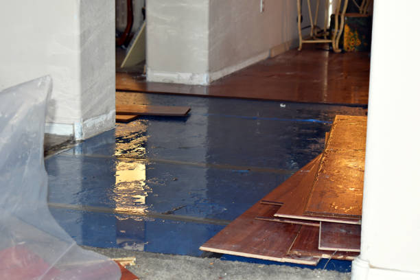 Professional Water Extraction technician working in Waverly, MO